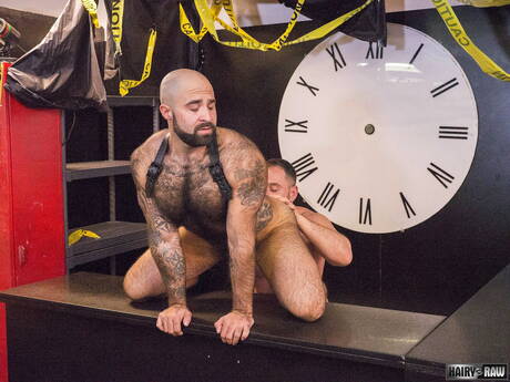 Sexy americans, muscular Marc Giacomo and mature bear Atlas Grant fuck ass after sucking dick