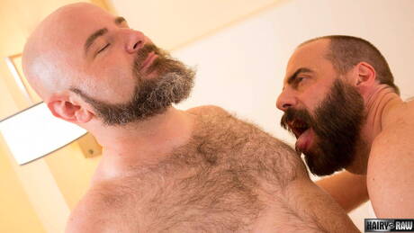 麥可洛芙和美國多毛猛男史蒂夫索默斯互相撞擊