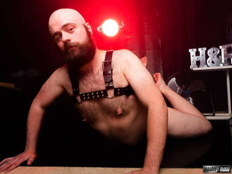 American hairy bear Dax Librastic posing naked and showing hot ass