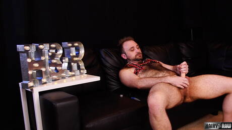 El semental peludo estadounidense Harper Davis se burla con un juguete sexual