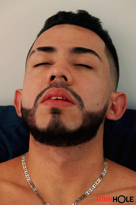 Latin bull Elliot Fitch play with toy