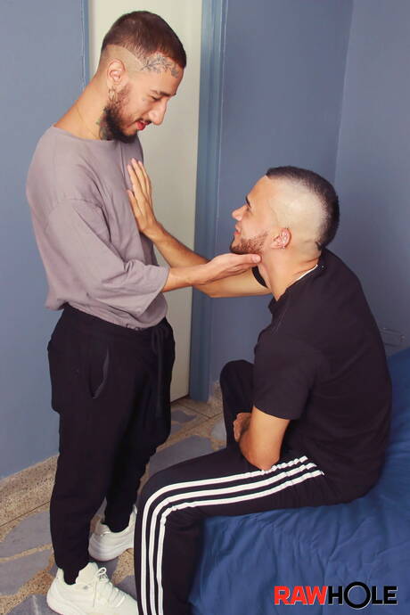 Le musclé hongrois Darius Ferdynand et le bien bâti Dali baisent après avoir sucé une bite