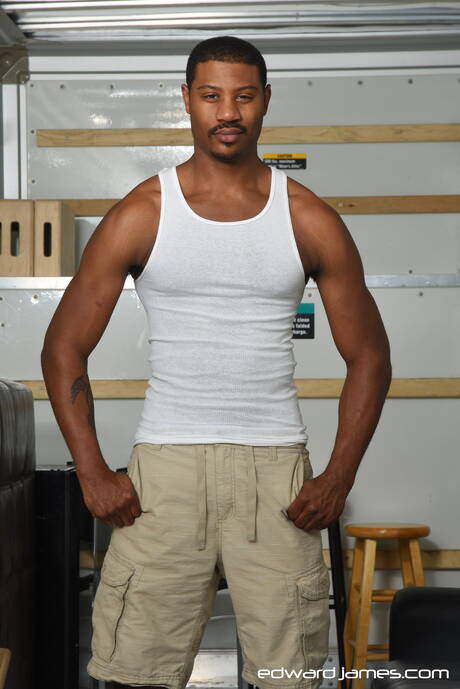 Edward James: Hot Adonis Couverture, Debonair and Phoenix make a love