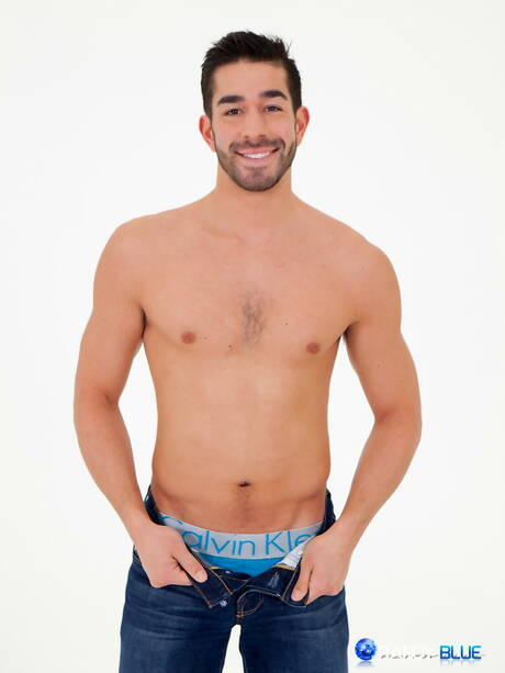 Hengst Ethan Russo spielt mit Schwanz