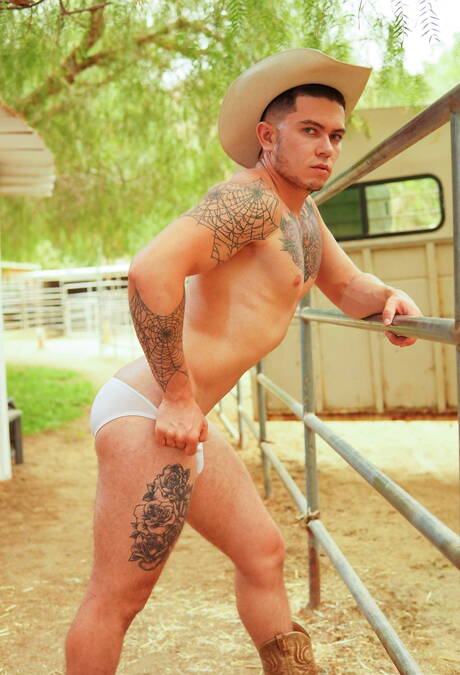 ホットなアメリカ人、ハンク・ヴィンセント・オライリーと筋肉質のクラーク・デイビスは、屋外でチンポを吸った後に尻をファックする