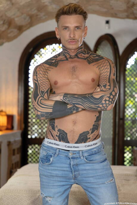 De gespierde Alex Palmieri en de gespierde Robert Royal hebben goede seks