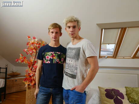 Zwei tschechische Jungs, der schöne Junge Alex Law und der Twink Dennis Skala, ficken nach dem Blowjob