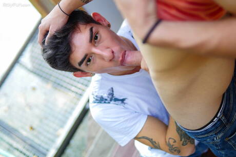 帥哥 Johnny Walsh 和帥哥 Roman Capellini 在戶外上演熱辣情侶戲