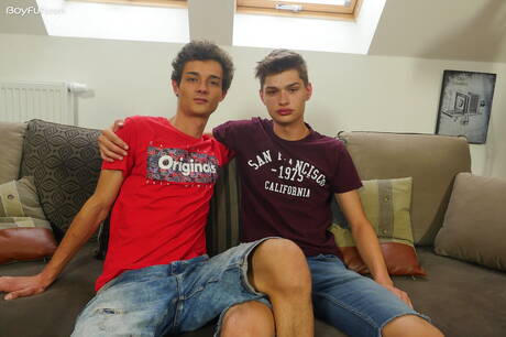 Dwóch czeskich facetów, młody chłopak Alan Caine i piękny chłopak Curtis Cameron w twardym seksie analnym