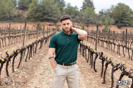 Der englische Superhengst Paddy Obrian und der spanische bullige Manuel Reyes lieben sich im Freien