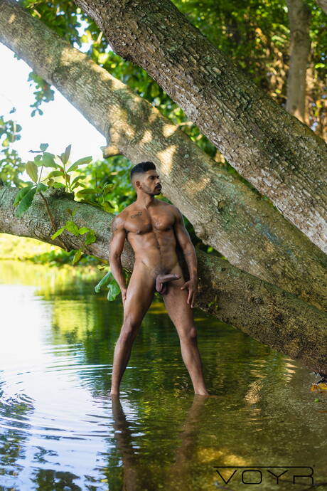 Voyr: Hot boy Gael and gorgeous buddy Matt Ellis have a good anal sex after beach