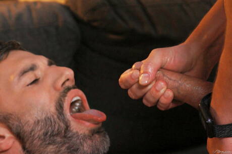 American pornstars hunky guy Colton Reece and hairy bear Cole Connor have a hot sex