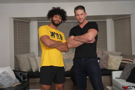 Miły amerykański facet, krzepki facet Roman Todd i silny byk Tony Geniusz ruchają się po ssaniu kutasa