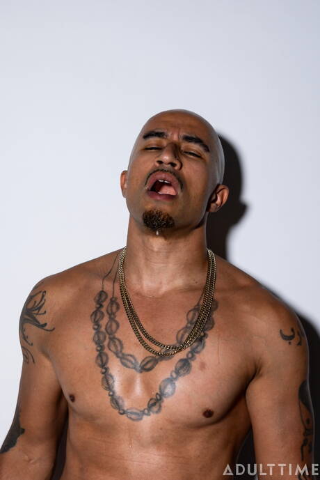 Zwarte gespierde King Noire speelt met dildo