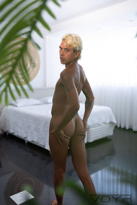 Die schamlosen Kumpels Lucas Ripardo, Pierre Carioca und Antonio Horlando haben draußen einen guten Dreier-Sex