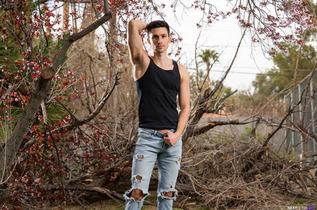 Mooie Amerikaanse jongens, knappe jongen Jayden Marcos en hengst Kane Fox neuken na het zuigen van pik in de buitenlucht