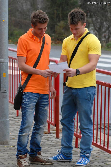 Le mec séduisant Dan Trojan et le garçon sensuel Mark Andreas ont un bon sexe oral en extérieur