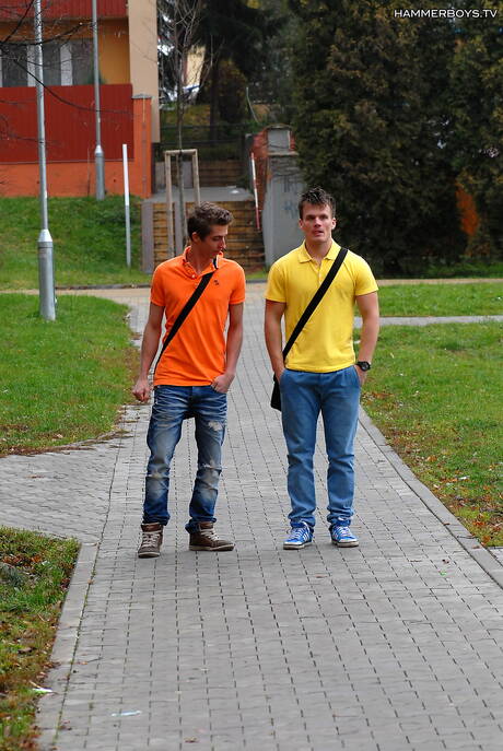 帥哥 Dan Trojan 和性感男孩 Mark Andreas 在戶外享受了一場精彩的口交