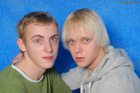 Le minet Marco Divo et le jeune garçon Steve Rooby se sucent et se baisent