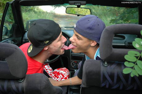 El joven Andrei Karenin y el joven Peter Muller hacen el amor al aire libre.