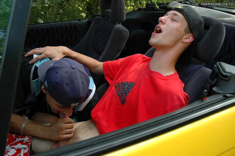 El joven Andrei Karenin y el joven Peter Muller hacen el amor al aire libre.