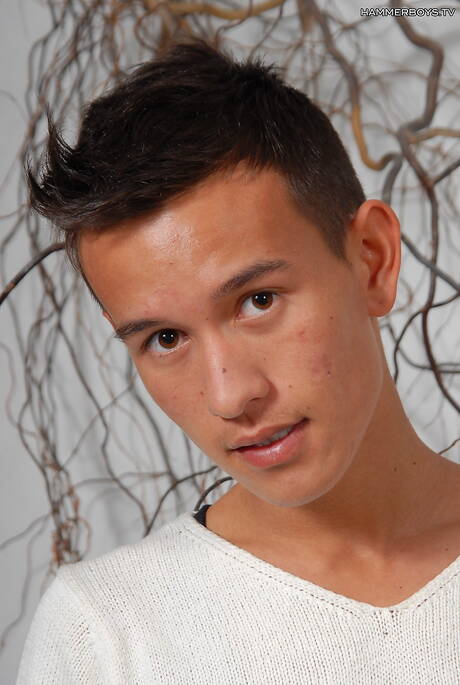 Der hübsche Latino-Junge Ricardo Luna posiert nackt