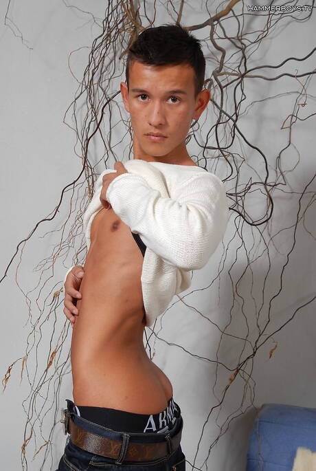 Der hübsche Latino-Junge Ricardo Luna posiert nackt