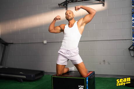 2人のアメリカ人の男、ホットな男ロッキー・アンリーシュドと官能的な仲間のジャクソン・クックスが熱い異人種間の尻強打で