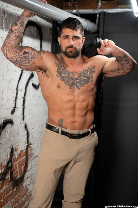 Der französische haarige Bär Teddy Torres und Ryan Bones bohren einen Arsch